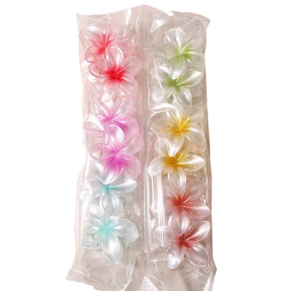 Women's Plastic And Resin Plant Flowers Style Baking Paint Hair Accessories Hair Grip Shark Clip