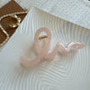 Women's Plastic Resin Geometric Wave Line Baking Paint Hair Clip