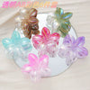 Women's Plastic Resin Hairpin Set With Flower Shape And Injection Molding Process Color Spray Painted