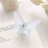 Women's Plastic Resin Handmade Frosted Butterfly Hair Grab Clip