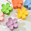 Women's Plastic Resin Handmade Frosted Flower Disc Hair Clip Headwear Hair Accessories