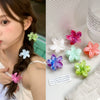 Women's Plastic Resin Handmade Little Fresh Style Plants Flowers Hair Grab Clip