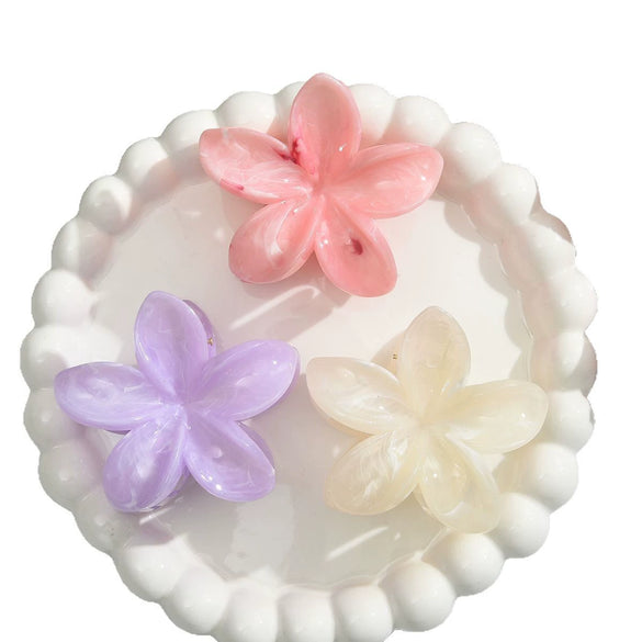 Women's Plastic Resin Highend Flower Hair Clip Threepiece Set With Baking Paint