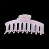 Women's Plastic Resin Macaron Shape Hair Claw Clip With Baking Paint And Jelly Frosted Effect For Summer