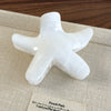 Women's Plastic Resin Starfish Egg Flower Baking Paint Gripper Hair Clip