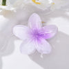 Women's Plumeria Flower Claw Clip Hair Accessory Simple Style Electroplating Technology