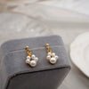 Women's Punk Trendy Slimming Street Fashion Geometric Pearl Cat Claw Earrings With Gold Electroplating