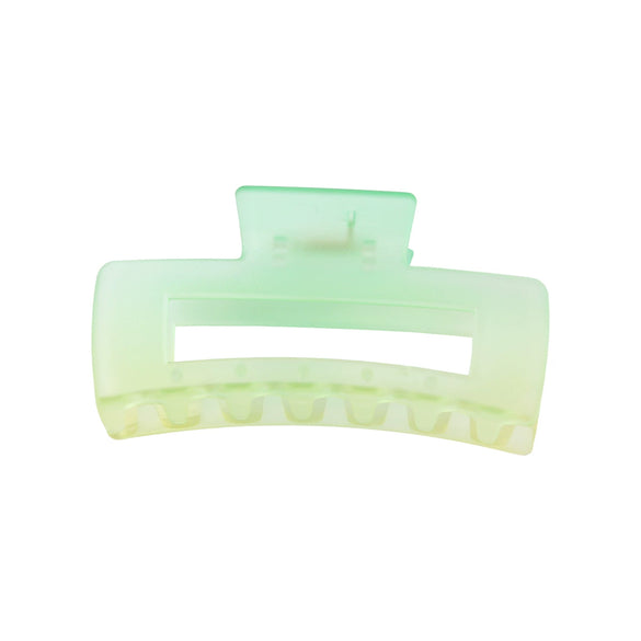 Women's Retro Butterfly Hair Shark Clip With Frosted Gradient Color And Baking Paint Design