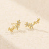 Women's S925 Silver Fivepointed Star Earrings With Electroplating