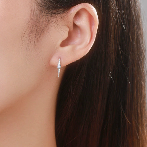 Women's S925 Sterling Silver Micropaved Zircon Inlaid Geometric Earrings Casual Fashionable Simple Design