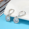 Women's S925 Sterling Silver Round Geometric Zircon Earrings Fine Silver Jewelry