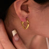 Women's Simple Irregular Geometric Stainless Steel Earrings With Pvd Furnace Real Gold Treatment