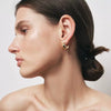 Women's Simple Style Geometric Cshaped Stainless Steel Electroplated Earrings