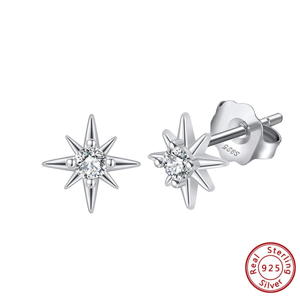 Women's Sparkling Zircon 925 Sterling Silver Earrings With Animal Zodiac Geometric Design Electroplated