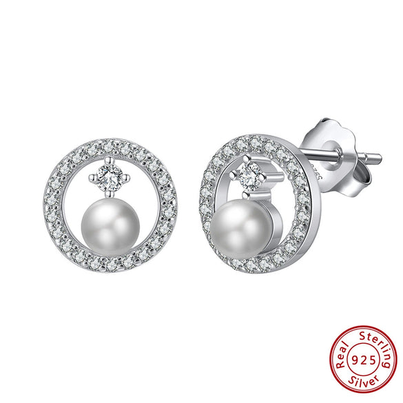 Women's Sparkling Zircon 925 Sterling Silver Earrings With Animal Zodiac Geometric Design Electroplated