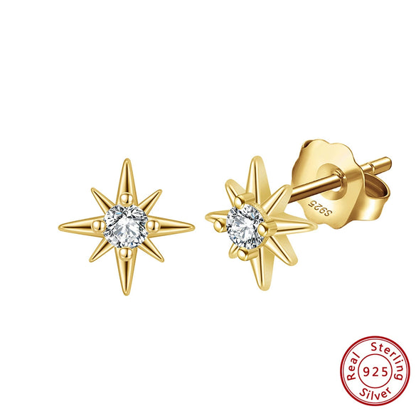 Women's Sparkling Zircon 925 Sterling Silver Earrings With Animal Zodiac Geometric Design Electroplated