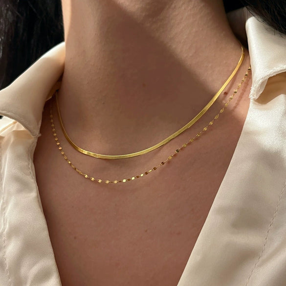 Women's Stainless Steel Double Lip Chain Snake Bone U Shape Hip Hop Niche Light Luxury Clavicle Chain Necklace With Electroplating