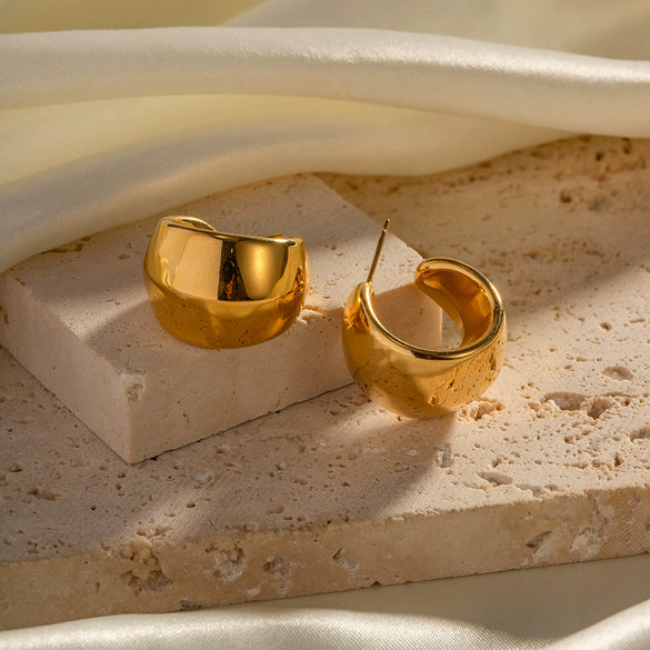 Women's Stainless Steel Geometric Arc Earrings With Electroplating