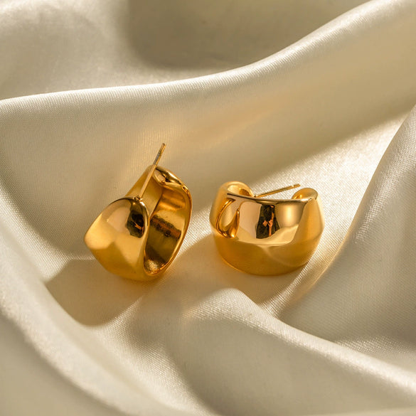 Women's Stainless Steel Geometric Arc Earrings With Electroplating