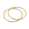 Women's Stainless Steel Geometric Round Hoop Earrings Electroplated
