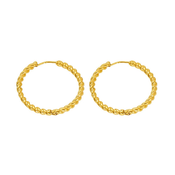 Women's Stainless Steel Geometric Twist Electroplated Earrings