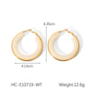 Women's Stainless Steel Resin Dropshaped Electroplated Minimalist Earrings