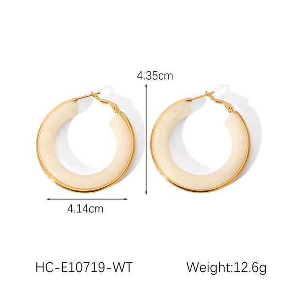Women's Stainless Steel Resin Dropshaped Electroplated Minimalist Earrings