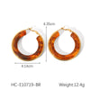 Women's Stainless Steel Resin Dropshaped Electroplated Minimalist Earrings