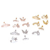 Women's Stainless Steel Star Pattern Inlaid Zircon Piercing Earrings