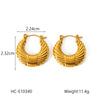 Women's Stainless Steel Ushaped Geometric Electroplated Earrings