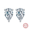 Women's 925 Sterling Silver Zircon Earrings With Geometric Animal Zodiac Patterns Electroplated