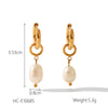 Women's Titanium Steel And Stainless Steel Geometric Electroplated Light Luxury Fresh Water Pearl Earrings