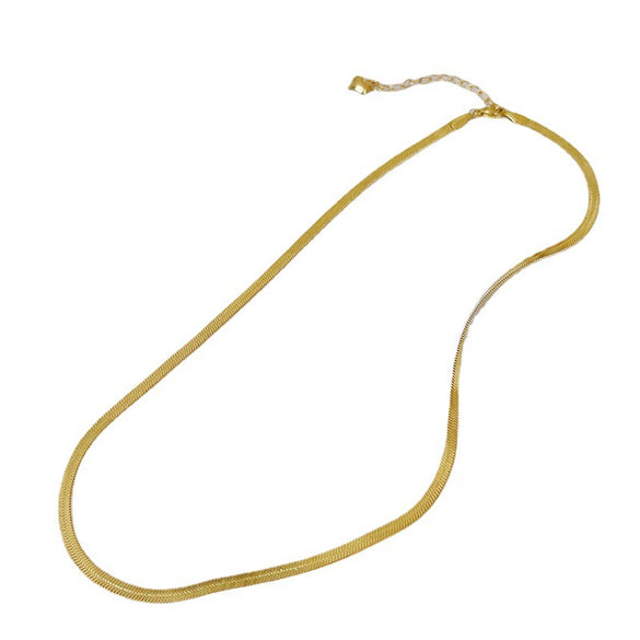 Women's Titanium Steel Flat Snake Chain Necklace Simple Geometric Clavicle Necklace With Electroplated Elegant Minimalist Style