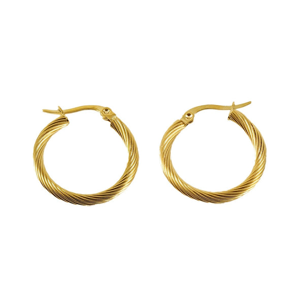 Women's 316L Stainless Steel Geometric Electroplated Earrings