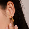 Women's Titanium Steel Geometric Pattern Cshaped Earrings With Electroplating And Cold Simple Style