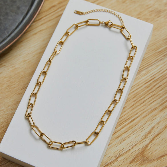 Women's Titanium Steel Thick Chain Necklace Electroplated For Autumn And Winter