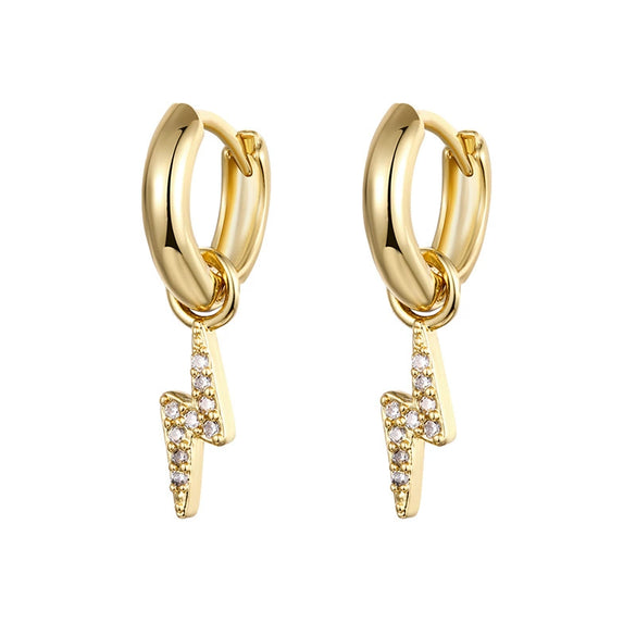 Zircon Earrings With Flower Pattern And Diamondencrusted Design